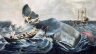 Bill Schanen relives horrid memories in his column for Sailing magazine: Call me Ishmael. I can relate to Moby-Dick’s narrator because I too have tales to tell of creatures tormenting sailors at sea. I’ve never been threatened by a whale […]