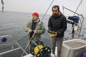 Marmara Denizi’nde keşfedilen ve nesli tehlike altındaki Akdeniz fokuna ait