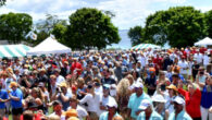 Mackinac Island is famous for being car-free, horse and carriage rides, bikes, fudge, caramel corn, and saltwater taffy. Located in Lake Huron, between Michigan’s Upper and Lower peninsulas, it is where people go to get away, relax, and have some […]