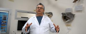 Denizlerle çevrili bir coğrafyaya sahip olan ülkemizde hemen hepimizin deniz