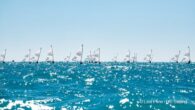 With American sailors in an Olympic slump, two-time medalist JJ Fetter is calling for the resignations of U.S. Sailing’s CEO, president and any other board member who supports a federal lawsuit against a sailing foundation and three of its principals, including former […]