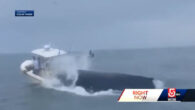 Two people were thrown into the ocean after a humpback whale landed on their fishing boat off the New Hampshire coast on Tuesday morning (July 23), and the entire incident was caught on video. “We didn’t see him for a […]