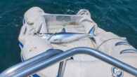 Getting smacked by a flying fish during an offshore race won’t make headlines, but what a shark coming onboard a dinghy competition? This story by Alison O’Leary comes close: We were sailing east from the west passage of Narragansett Bay, […]