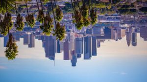 The Organizing Committee of the Los Angeles 2028 Paralympic Games