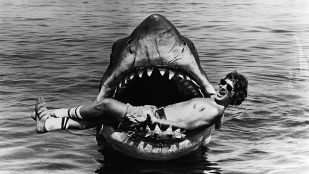 For every sailor who has seen a shark fin, the