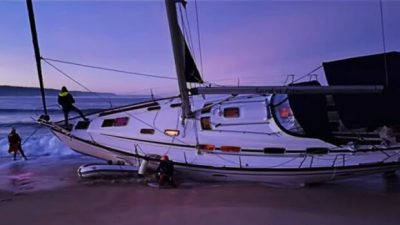 Stories about orca attacks along the Spanish and Portuguese coasts