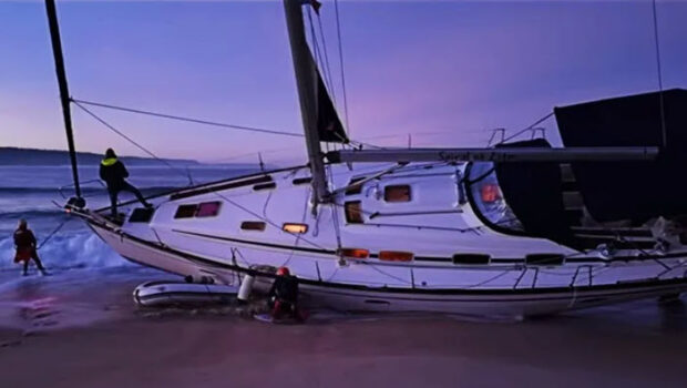 Desperate times, Desperate measures Stories about orca attacks along the Spanish and Portuguese coasts