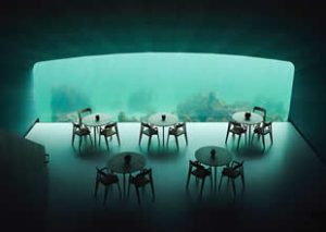 Denizin altında deniz canlılarıyla başbaşa yemek keyfi Norveç’in Lindesnes kıyılarında denizin beş metre altında bambaşka bir dünya