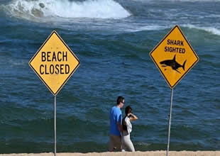 Hawaii’nin Kaua’i Adası’nda bir sörfçü köpek balığı saldırısına uğradı. Olay