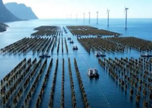 Sanayiden çıkan karbonu deniz tabanına depolayan Norveç, şimdi de atmosferdeki