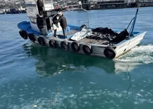 Marmara Denizi’nde yeniden ortaya çıkan müsilaj ve artan denizanaları, balıkçıları