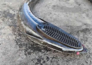 Samandağ sahilinde amatör bir balıkçının oltasına baş kısmında vantuz benzeri