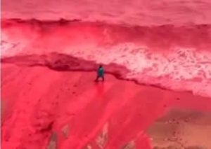 İran'ın güneyinde bulunan Hürmüzgan eyaletinde yer alan ve Hürmüz Adası