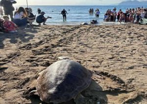 DEKAMER’in 2025 yılı çalışmaları kapsamında rehabilitasyon süreci tamamlanan 17 deniz