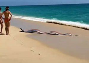 Dünyada yaşanan felaketlerden önce ortaya çıktığına inanılan ve normal şartlarda