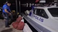 Kaçak deniz salyangozu avcılığı yapan bir kişi, polis tarafından yakalanarak 66 bin TL ceza kesildi. Samsun Emniyeti Deniz Limanı Şube Müdürlüğü ekiplerince saat 00.40’ta Canik ilçesi deniz açığında Y.M. isimli teknenin seyir fenerlerini açmadan, yasak zamanda çift algarna ile salyangoz […]