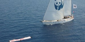 WWF’in Blue Panda yelkenlisi, “daha iyi korunan bir Akdeniz” fikrinden