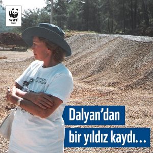 Bu gönderiyi Instagram'da gör WWF Türkiye (@wwf_turkiye)'in paylaştığı bir gönderi
