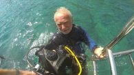 Bodrum Deniz Müzesi Paylaşımı