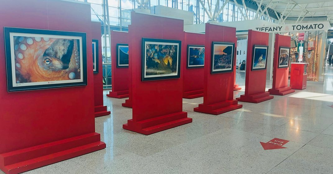 Bu gönderiyi Instagram'da gör Tahsin Ceylan (@ceylan.tahsin)'in paylaştığı bir gönderi