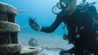 This small Caribbean island aims to have an outsized impact on ocean health. By Sascha Zuger Often, island nations find the most challenging aspect of marine conservation lies close to home. Locals who have lived on the land and used […]