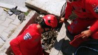 Aydın’ın Kuşadası ilçesinde rögara düşen yavru kedi Kuşadası AKUT ekibi tarafından kurtarıldı. Edinilen bilgiye göre, rögara yavru bir kedinin düştüğünü fark eden vatandaşlar durumu 112 Acil Çağrı Merkezi’ne bildirdi. İhbar üzerine bölgeye Kuşadası AKUT ekibi sevk edildi. Olay yerine gelen […]