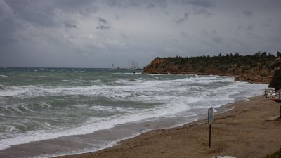 4-7 Şubat tarihleri arasında Didim’de, Didim Belediyesi ev sahipliğinde düzenlenen