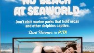 Dani Harmer has teamed up with PETA to encourage the public to boycott SeaWorld. In a striking campaign image, the Tracy Beaker star, 32, donned a black swimsuit as she squeezed herself into a tiny fish tank to protest the […]