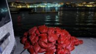 Beyoğlu Karaköy’de düzenlenen operasyonda 3 ton kaçak midye ele geçirilirken, yakalanan 2 şüpheliye ise toplamda 52 bin 484 lira cezai işlem uygulandı. İstanbul Emniyet Müdürlüğü Deniz Limanı Şube Müdürlüğü görevlileri, bu sabaha karşı Karaköy İskelesi sahili mevkisinde yaptıkları denetimde deniz […]