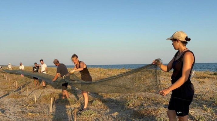 Mersin’in Kazanlı sahilinde, Avrupa’nın farklı ülkelerinden gelen genç gönüllüler, deniz