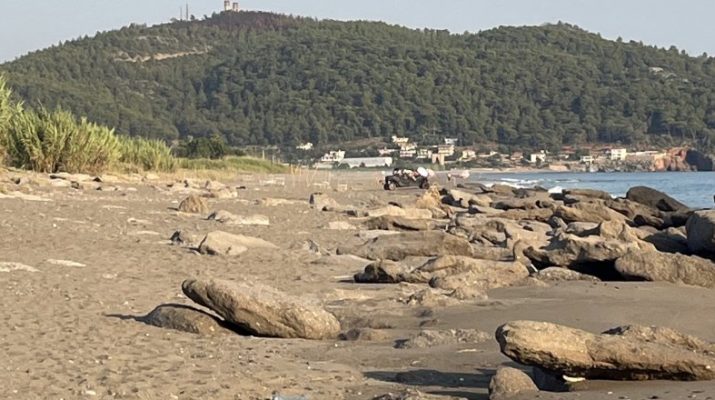 Antalya'nın Gazipaşa ilçesinde caretta caretta yuvalarının köpekler, araçlar ve atlar