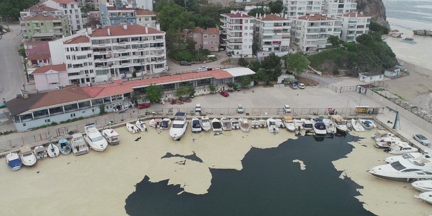 Tarım ve Orman Bakanlığı Balıkçılık ve Su Ürünleri Genel Müdürü Turgay