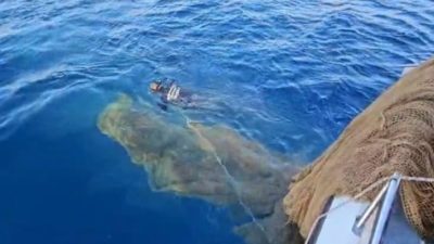 Muğla Tarım ve Orman İl Müdürlüğü Su Ürünleri Kontrol Şube