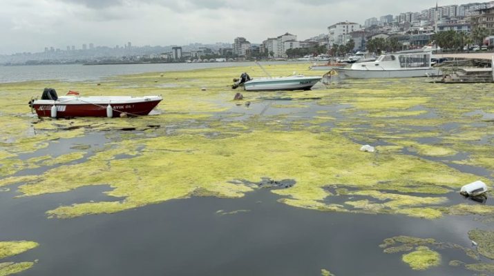Samsun'un Atakum ilçesinde bulunan Kurupelit Marina'da zamanla oluşan dip çamuru