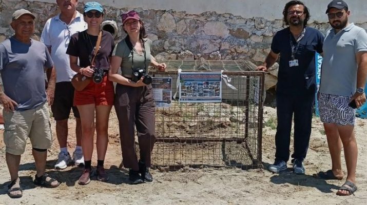 Türkiye’de deniz kaplumbağalarının düzenli yuvalama alanları dışında kalan Aydın bölgesinde,