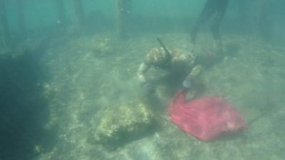 Bodrum Belediyesi tarafından denizlerin korunmasına dikkat çekmek amacıyla sürdürülen, Deniz