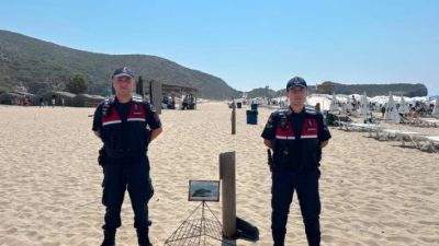 Antalya İl Jandarma Komutanlığı ekipleri tarafından nesli tehlike altındaki deniz