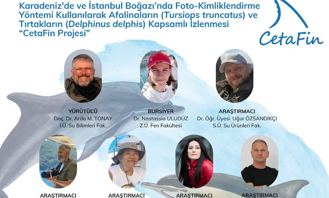 TÜBİTAK 1001 proje başvurumuz “Karadeniz’de ve İstanbul Boğazı’nda Foto-Kimliklendirme Yöntemi