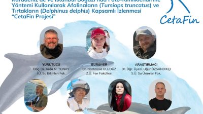 TÜBİTAK 1001 proje başvurumuz “Karadeniz’de ve İstanbul Boğazı’nda Foto-Kimliklendirme Yöntemi