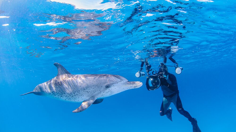 By Melissa Smith July 18, 2021 It’s not every dive