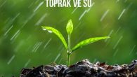 Bu yıl 16-22 Kasım tarihlerini kapsayan Erozyonla Mücadele Haftası’nı ‘Toprak ve Su’ temasıyla karşılayan TEMA Vakfı, hafta boyunca tüm Türkiye’de çevrimiçi etkinlikler ve eğitimler düzenliyor. Türkiye’de toprak bozulumunun en önemli sebeplerinden birinin erozyon olduğunu söyleyen TEMA Vakfı Yönetim Kurulu Başkanı […]