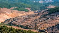 Hükümetler Arası İklim Değişikliği Paneli (IPCC)’nin ülkemizin de içinde yer aldığı coğrafyayı yakından ilgilendiren “Arazi Özel Raporu”, TEMA Vakfı tarafından Türkçeleştirildi. Doğal varlıkların her geçen gün artan insan baskısı ile karşı karşıya kaldığını ve iklim değişikliğinin bu baskıyı artırdığını ortaya […]