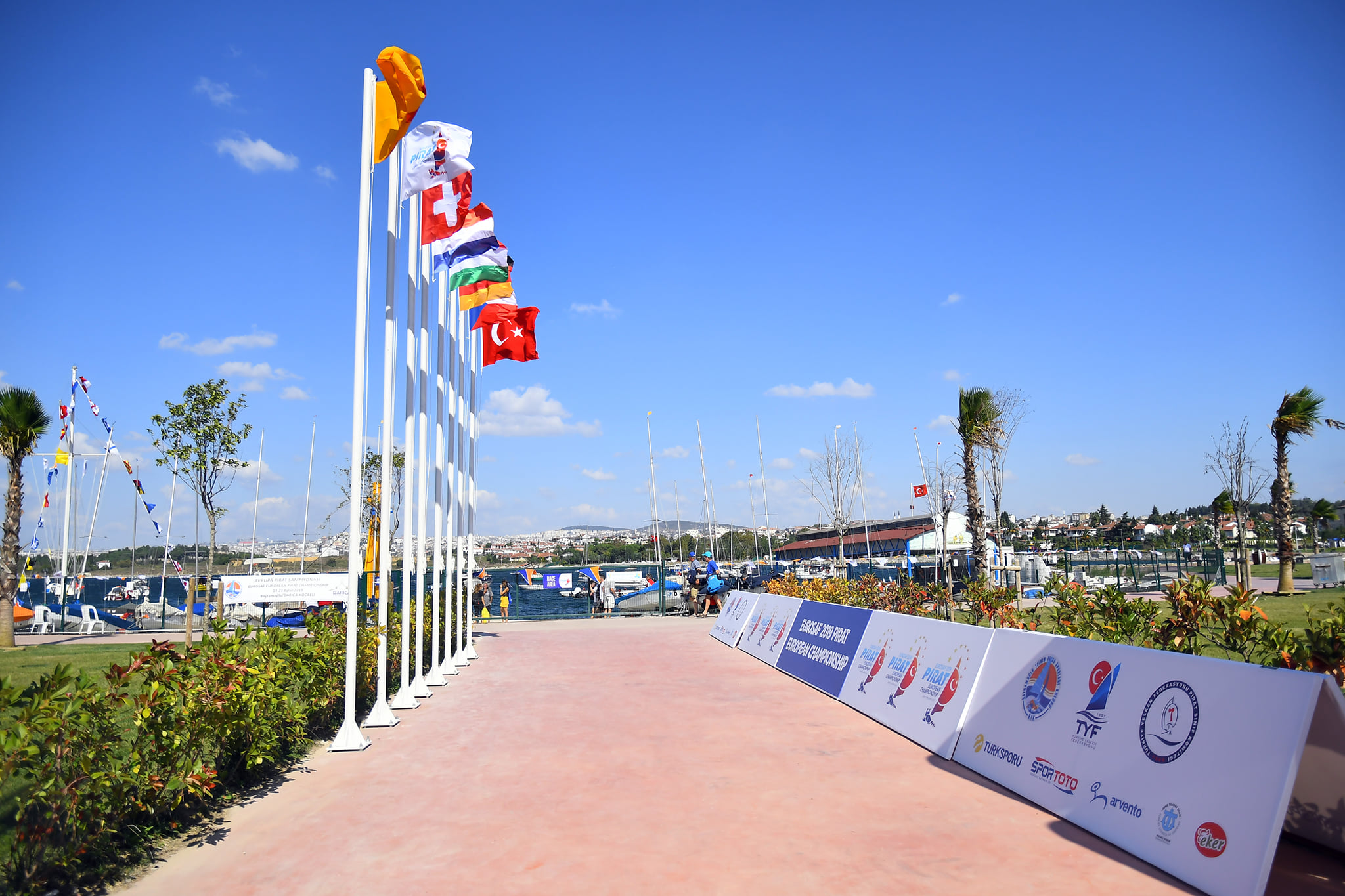 Türkiye Yelken Federasyonu