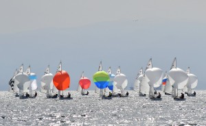 Türkiye Yelken Federasyonu