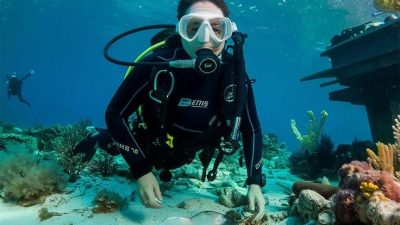 Dalış güvenliği için oldukça gerekli bir donanım olmasına rağmen dalış