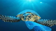 Bilim insanlarına göre, Atlas Okyanusu’ndaki çok küçük boyutlardaki plastik atıkların ağırlığı 12 ila 21 tona ulaşmış olabilir. İngiltere Ulusal Okyanus Bilimi Merkezi, Atlas Okyanusu’nun ortasında, yüzeyden 200 metre derinliğe kadar olan bölümde plastik atık araştırması yaptı. BBC‘nin aktardığına göre, İngiltere‘den […]