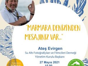 Deniz, kıyı ve su ekosistemi buluşmalarımıza “Marmara Denizi’nden Mesajınız Var”