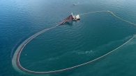 Global climate change has affected not only the size of fish in the waters around Turkey but also their migration routes in the Black Sea. Officials said Thursday that all fish species are migrating from the east to the west […]