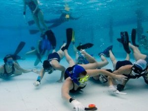 Sualtı Hokeyi Federasyon Kupası mücadeleleri bugün Beylikdüzü’nde gerçekleşecek organizasyon ile