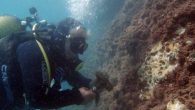 Antalya Körfezi’nde denizin temiz kalmasındaki etkenlerin başında, falezlerdeki kaya midyelerinin yer aldığı belirtildi. Biyolojik temizleme fabrikası gibi çalışan kaya midyelerinin, kirli suyu bünyesinden geçirerek temizlediği kaydedildi. Oluşumu 64 milyon yıl önceye dayanan, Antalya’nın güzelliğine önemli katkı yapan 12 kilometrelik falezler, […]